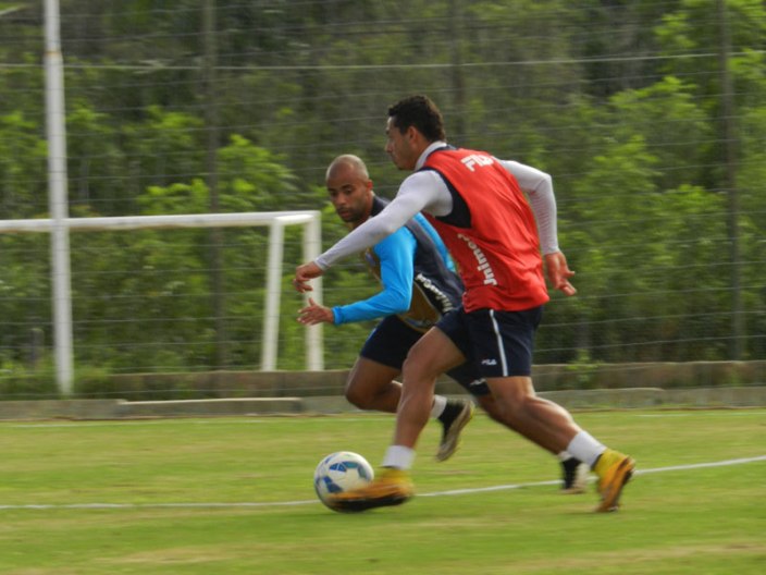 Avaí fez último treino nesta sexta-feira antes de embarcar para a capital do Paraná. (Foto: André Palma Ribeiro-Avaí F. C.)