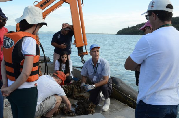 Epagri oferece curso gratuito de cultivo mecanizado de mexilhões